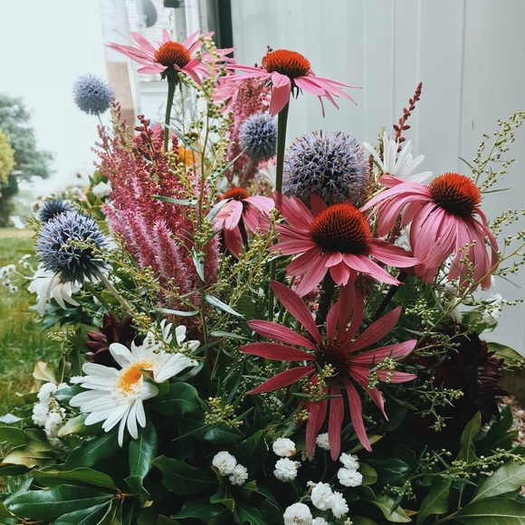 Hi🌿 - Picture 6 of 7